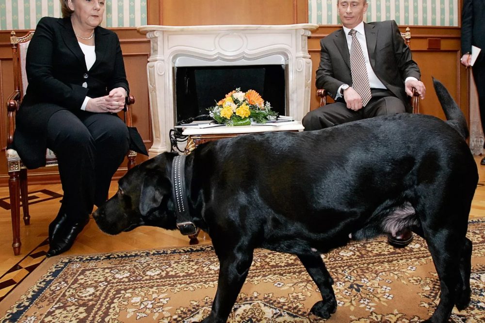 Angela Merkel Putin Dog