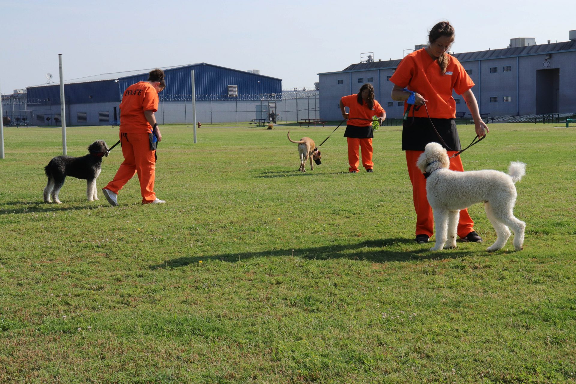 ماجرای سگی که دبرا در زندان تربیت کردزمان تقریبی مطالعه: ۳ دقیقه